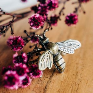 Cowrie Mascot Brass Bee