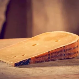 Semi Firm Netherlands Reypanaer