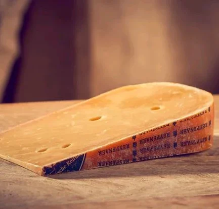 Semi Firm Netherlands Reypanaer