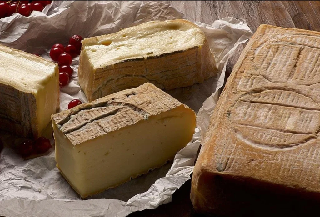 Washed Rind Italian Taleggio